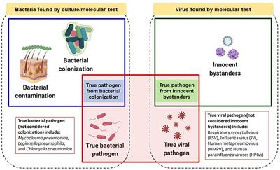 Approach to Identifying Causative Pathogens of Community-Acquired Pneumonia in Children Using Culture, Molecular, and Serology Tests